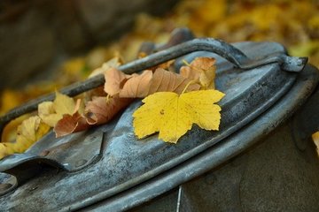 Bild der Petition Mehr Mülleimer an öffentlichen Plätzen