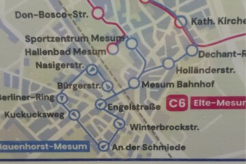 Bild der Petition Mesum braucht Bus: C6-Kürzung aufheben & C6/C7 häufiger fahren
