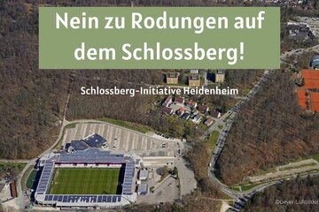 Bild der Petition Nein zu Rodungen auf dem Schlossberg Heidenheim!