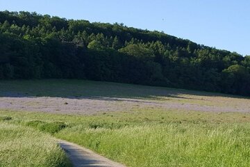 Bild der Petition NEIN zum Baugebiet Volkmisser Rehr am Süllberg - FÜR eine nachhaltige Stadtentwicklung in Bennigsen