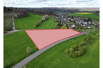 Bild der Petition NEIN zum Netto-Markt auf der grünen Wiese in Pracht!