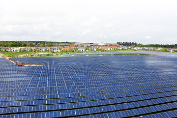 Bild der Petition Nein zum Solarpark Breesen/Schweez!