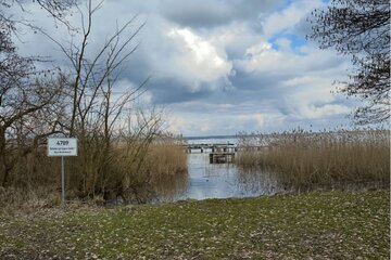 Bild der Petition Neuer Badesteg in Untergöhren am Fleesensee - Ein Treffpunkt für Generationen!