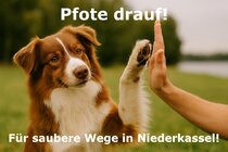 Image of the petition Niederkassel: Hundekotbeutel erhalten – für ein sauberes und tierfreundliches Stadtbild!