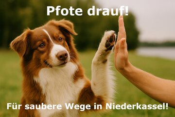 Bild der Petition Niederkassel: Hundekotbeutel erhalten – für ein sauberes und tierfreundliches Stadtbild!
