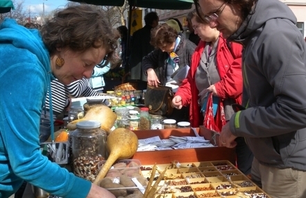 Ogrožena raznovrstnost semen - proti uredbi EU o semenih v korist semenarske industrije