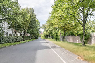 Bild der Petition Parkplätze Und Erhalt der Bäume in der Blücherstrasse, Kreuzberg