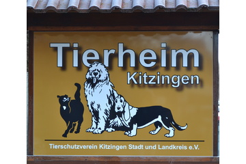 Bild der Petition Petition für den Erhalt des Kitzinger Tierheims
