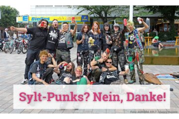 Bild der Petition Petition gegen die Syltpunks