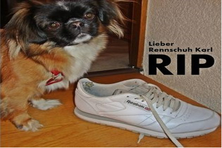 Bild der Petition Pfungstadts Rennschuh Karl soll Ehrenbürger werden