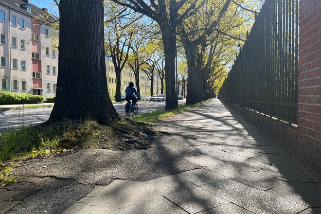 Radwegerückbau "Unter den Eichen" stoppen - sichere Mobilität für alle! - Online petition