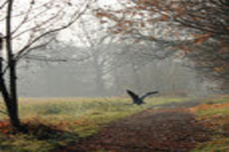 Bild der Petition Rettet das Malchower Luch