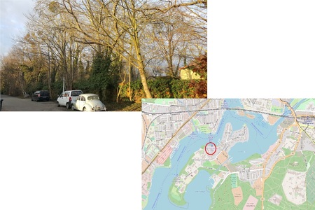 Bild der Petition Rettet das Wäldchen auf Flur 17 (Wäldchen 17) auf Potsdam Hermannswerder