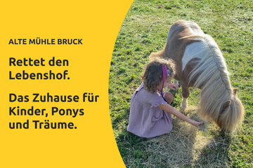Bild der Petition Rettet den Lebenshof Alte Mühle Bruck – bevor ein Zuhause für immer verloren geht!
