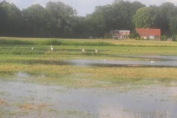 Bild der Petition Rettet den Naturraum Holtkamp-Ströhen - Für eine möglichst naturverträgliche Energiewende