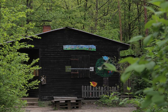 Rettet die Waldgruppe in Pfungstadt - Online-Petition