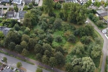 Bild der Petition Rettet die Grünfläche in Meerbusch Lank - für Natur Bäume und unsere Zukunft!