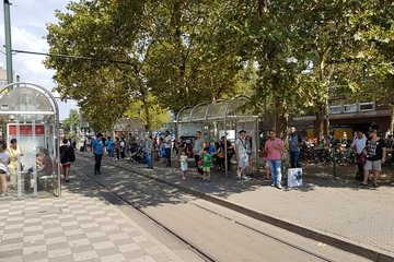 Bild der Petition Rettet Die Platanen Vor Dem Düsseldorfer Hauptbahnhof