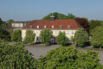 Bild der Petition Rettet die Reese / Save Reese!