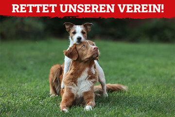 Bild der Petition Rettet unseren Verein, der Hundesportverein OG München West e.V. muss bleiben!!