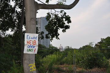 Bild der Petition Rettung aller (noch) vorhandener Bäume auf Leipzigs zentralem Wilhelm-Leuschner-Platz!