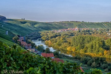 Bild der Petition Erhalt der Kulturlandschaft Mainschleife