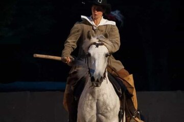 Bild der Petition Rückgabe der Ponys des Aktivhof Schwarzenbach gemeinnützige UG