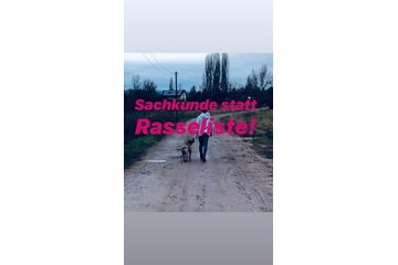 Bild der Petition Sachkunde statt Rasseliste