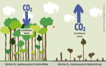 Bild der Petition: Schluss mit der Papierverschwendung!