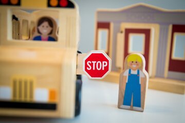 Bild der Petition Schulbus für Landschulen retten