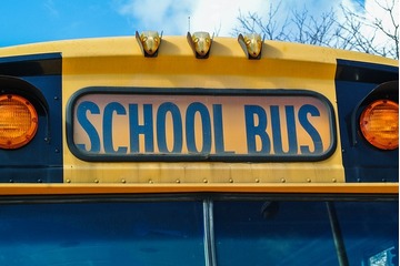 Bild der Petition Schulbusse gehören an die Grundschule Knesebeck