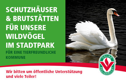 Bild der Petition Schutz für Wildvögel im Sondershäuser Park