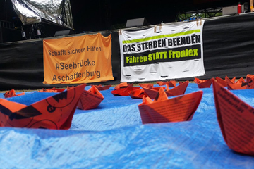 Bild der Petition SEEBRÜCKE - Aschaffenburg als sicherer Hafen