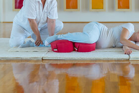 Bild der Petition: Shiatsu: jetzt!
