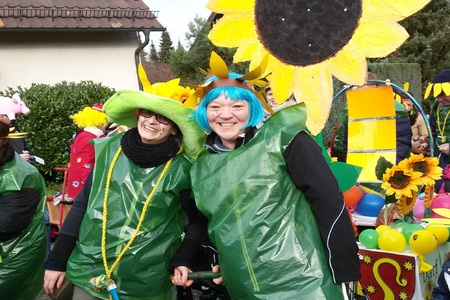 Bild der Petition Sonnenblumengruppe