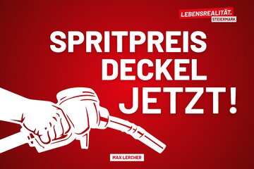 Bild der Petition Spritpreis-Deckel jetzt!