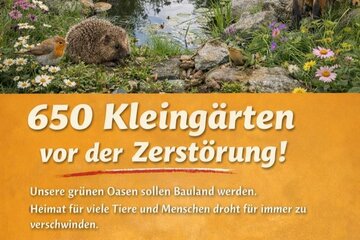 Image of the petition Stoppt das KEK26+ – Rettet Hannovers Kleingärten!