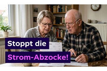 Bild der Petition Stoppt die Abzocke treuer Kund*innen. Strom-Preisdeckel jetzt!