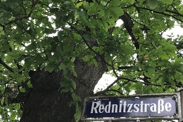 Bild der Petition Stoppt die Gefahr und den Lärm in der Rednitzstraße!