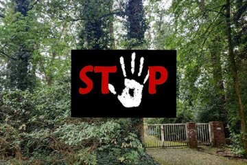 Bild der Petition Stoppt in Lohne das Vorhaben den Küstermeyerwald abzuholzen, um Parkplätze zu bauen