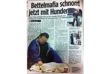 Bild der Petition Stopt den Tiermissbrauch - Gesetzerlass gegen die Bettelmafia!