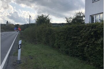 Bild der Petition Tempolimit 50kmh Detmolderstraße Reelsen
