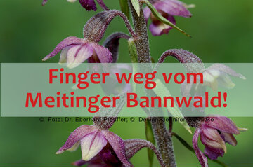 Bild der Petition Unterstützung der „Meitinger Bannwald-Erklärung“