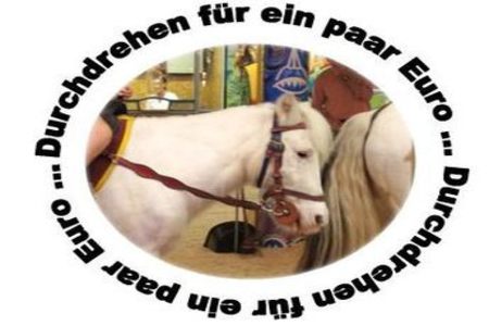 Bild der Petition Verbannt die Ponykarusselle aus Speyer!