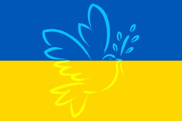 Bild der Petition Verbot der Kriegsverherrlichenden Symbole für den 9.Mai.