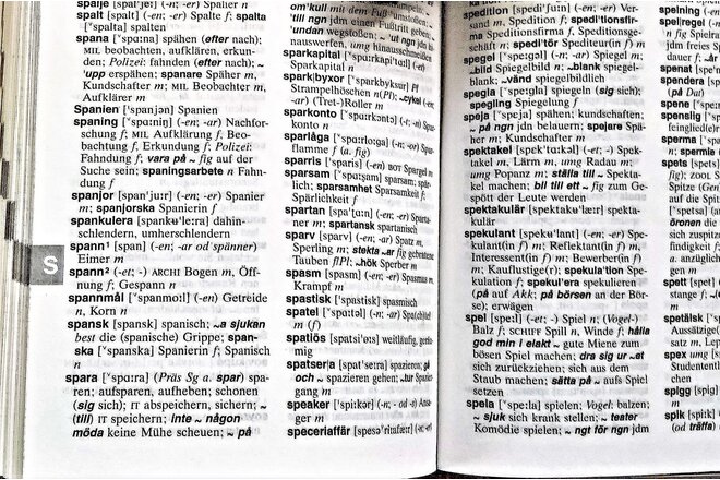 Vereinfachte Amtssprache OnlinePetition