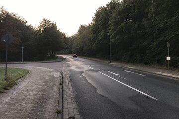 Bild der Petition Vollständige Sanierung der Wolfsburger Straße