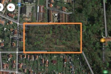 Bild der Petition Wald- & Klimaschutz!