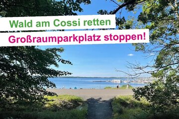 Bild der Petition Wald statt Asphalt! Kein Großraumparkplatz am Cospudener  See