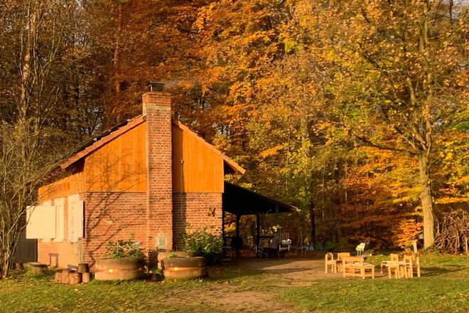 Waldkindergarten Dieburg soll bleiben! - Online-Petition